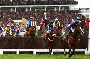 cheltenham day one