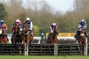 2025 Mares' Novices' Hurdle Series Final Tips - Odds, trends and best bets for Newbury