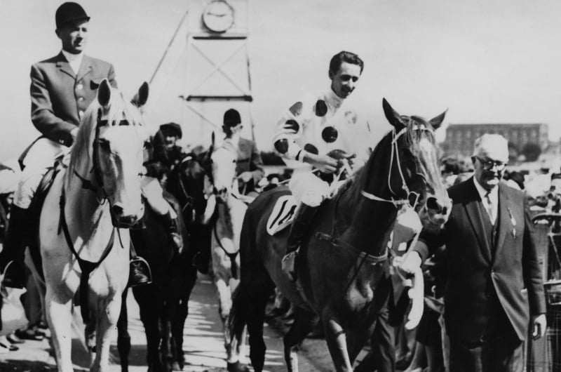roy higgins pic roy higgins pic