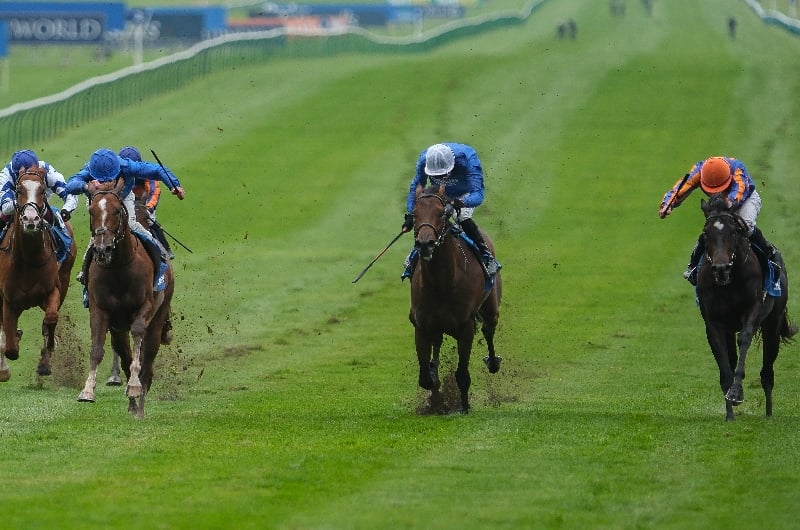 dewhurst stakes dewhurst stakes
