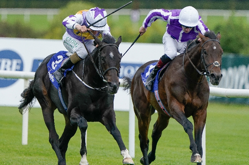 green impact leopardstown green impact leopardstown