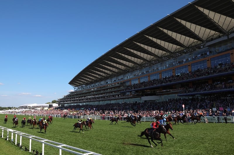 britannia stakes britannia stakes
