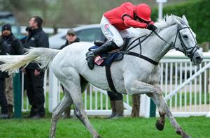 2025 Aintree Bowl Odds - Grey Dawning leads Spillane's Tower in Aintree betting