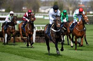 2025 Aintree Hurdle Tips - Value against the big guns at Aintree?