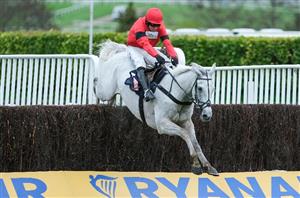 2025 Aintree Bowl Tips - Skelton's star the one to beat at Aintree