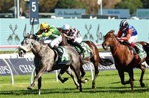 TJ Smith Stakes Tips - Forgotten horse from the Waller stable can turn it on in the TJ Smith Stakes