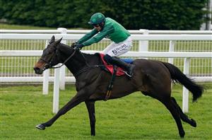 Intense Raffles Grand National 2025 Odds
