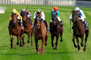 Australian Horse Racing