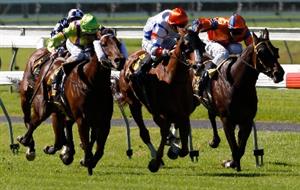 Australian Horse Racing