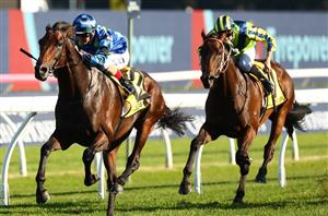 2024 Sydney Cup Circle Of Fire