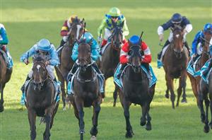 Queen Of The Turf Stakes