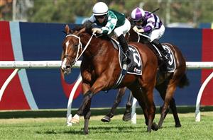 Queen Elizabeth Stakes Tips - Via Sistina to stamp authority in Queen Elizabeth Stakes