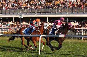 Doomben Racing