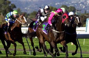 Morphettville Racing