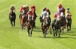 Perth horse racing