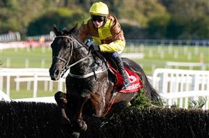 galopin punchestown