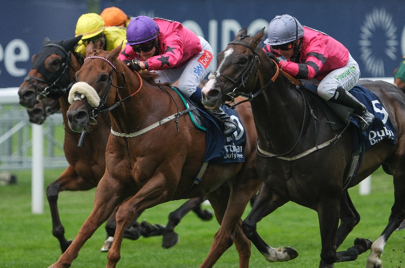 shergar cup mile shergar cup mile