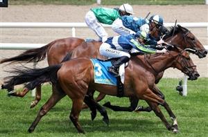 Benalla Tips for 05.09.2023