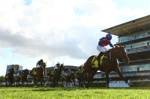 Randwick Blackbookers
