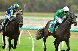 Terang Tips for 19.12.2023