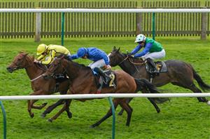 nell gwyn stakes