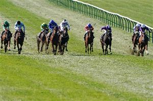 nell gwyn stakes