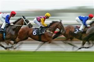 Australian Horse Racing