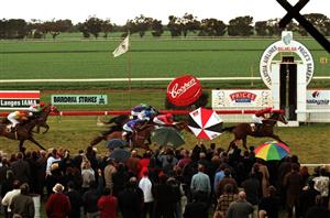 Balaklava Horse Racing