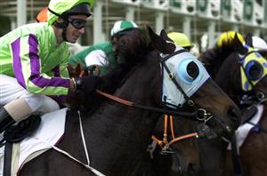 Doomben Racing