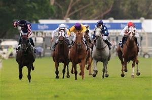 Warwick Farm Racing