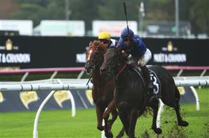 Champagne Stakes Tips - Bjorn Baker to claim another Group 1 with fast finishing youngster
