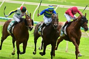 Echuca Tips for 28.07.2023