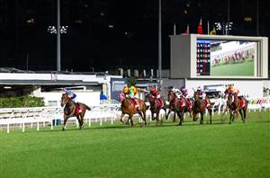 Happy Valley Tips for 16.04.2025