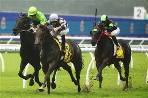 All Aged Stakes Tips - Briasa to streak away in the All Aged Stakes at Randwick