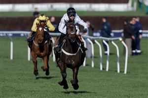 2025 Punchestown Champion Hurdle Tips - Constitution Hill and State Man to meet again