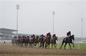 ITV Racing Tips on April 18th - All-Weather Finals Day Tips at Newcastle