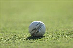 Watch the T20 Titans Cup online (Getty Images)