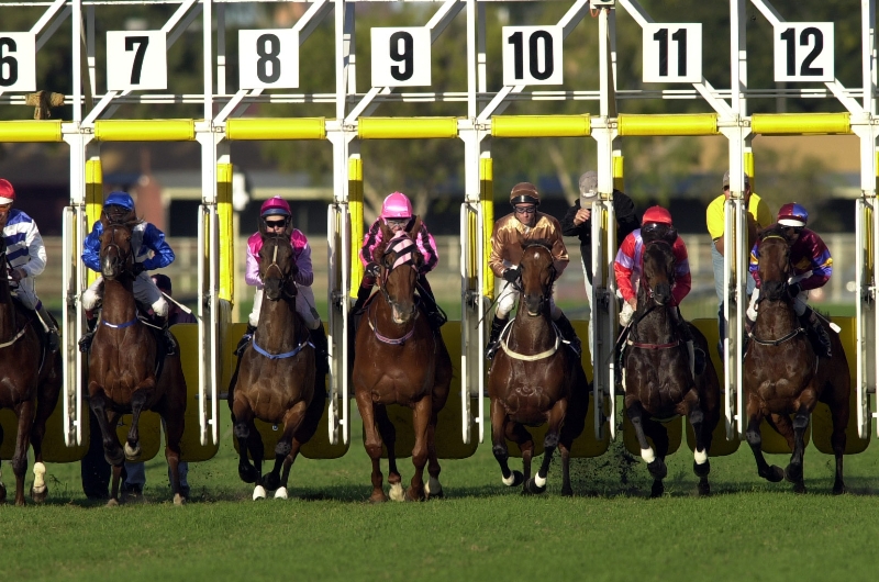 eagle farm racecourse eagle farm racecourse