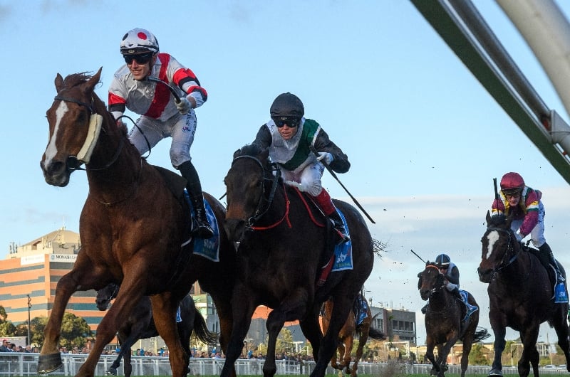 pinstriped memsie stakes pinstriped memsie stakes