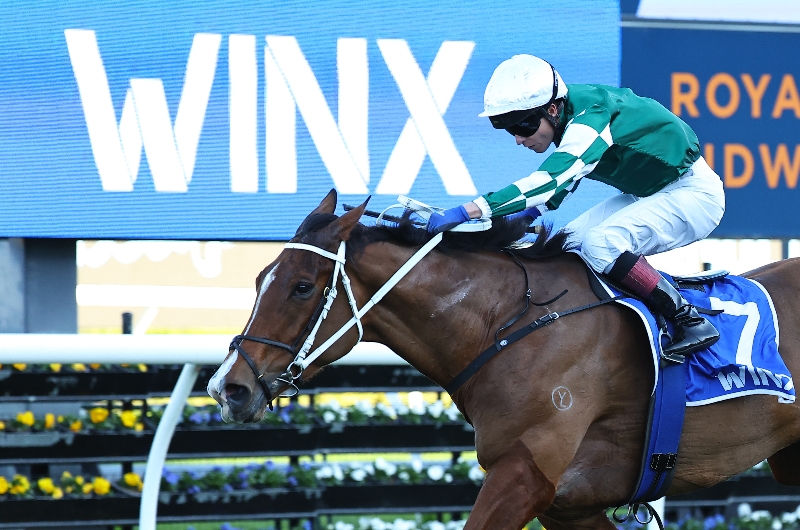 via sistina winx stakes via sistina winx stakes