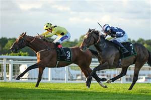 2025 Prix Ganay Tips - Burke's raider can plunder French pot