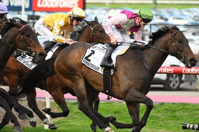 Moir stakes Moir stakes
