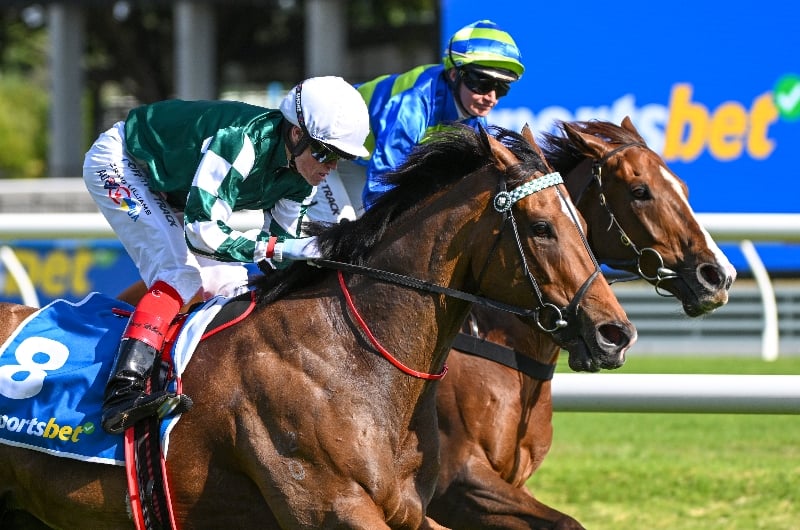 kimochi sir rupert clarke stakes kimochi sir rupert clarke stakes