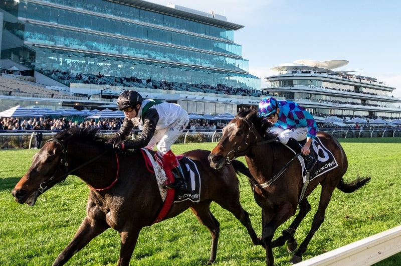 mr brightside makybe diva stakes mr brightside makybe diva stakes