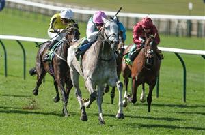 2025 2000 Guineas Odds - Field Of Gold leads Classic market