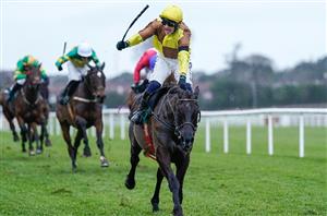 2025 Punchestown Gold Cup Tips - More Punchestown heartache for Galopin Des Champs?