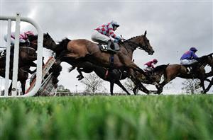 Punchestown Festival 2025 Tips - Best bets on day two