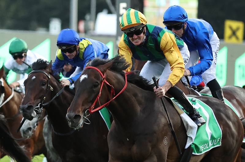 ceolwulf epsom handicap ceolwulf epsom handicap