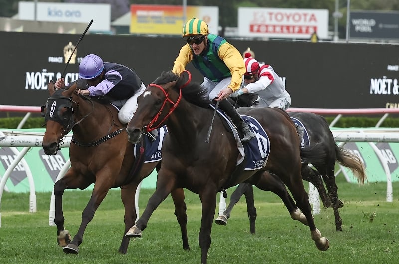 Ceolwulf King Charles III Stakes Ceolwulf King Charles III Stakes
