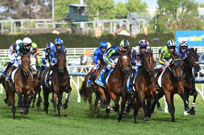 caulfield cup caulfield cup